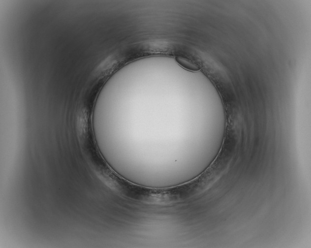 X0000112040744200908171510