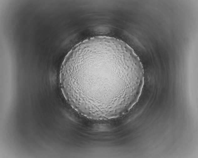 X0000112040745200908171510