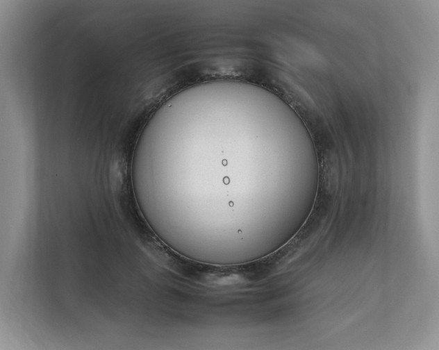 X0000112040747200908171510