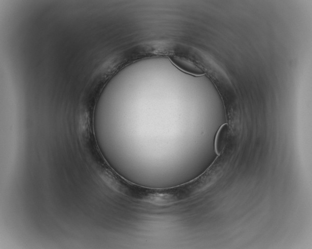 X0000112040748200908171510