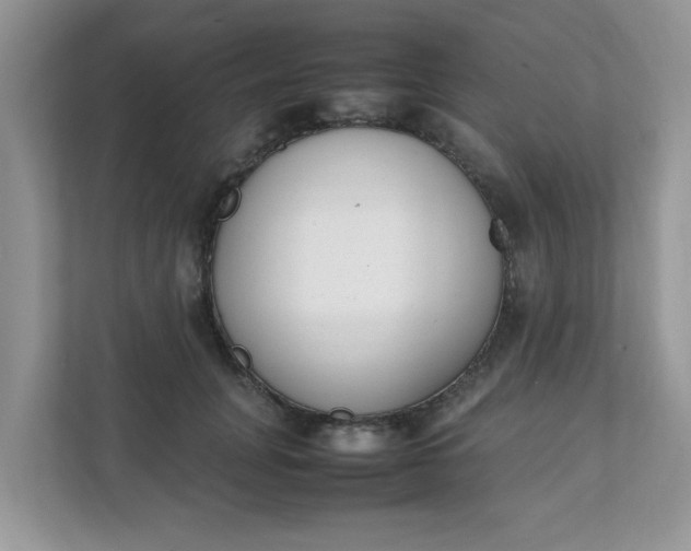 X0000112040751200908171510