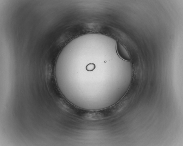 X0000112040752200908171511