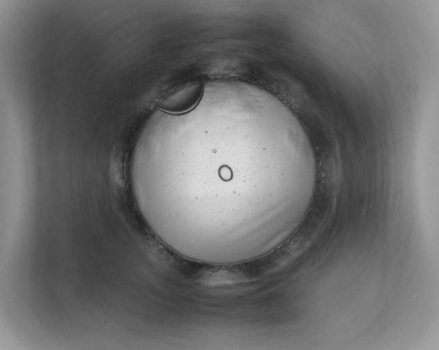 X0000112040755200908171511