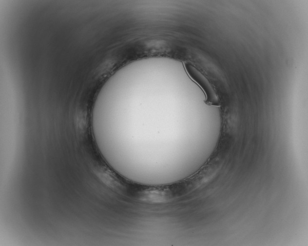 X0000112040756200908171511