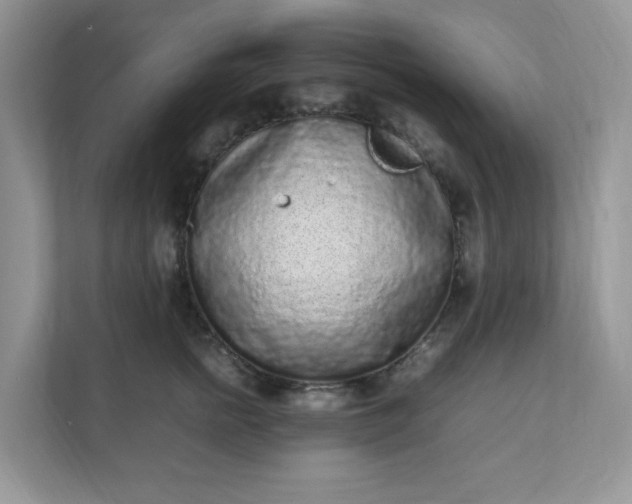 X0000112040758200908171511