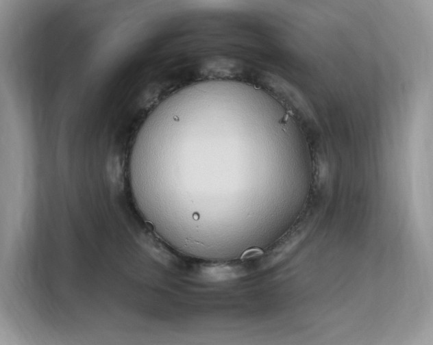 X0000112040759200908171511