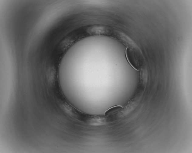 X0000112040760200908171511