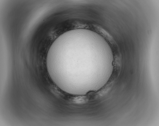 X0000112040761200908171511