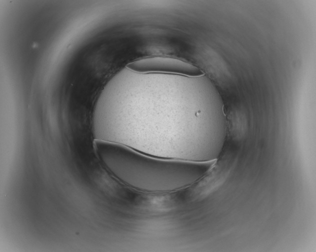 X0000112040762200908171511