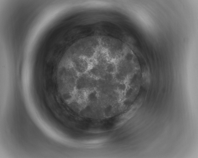 X0000112040765200908171511