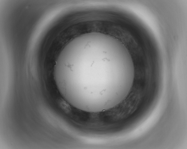 X0000112040766200908171511