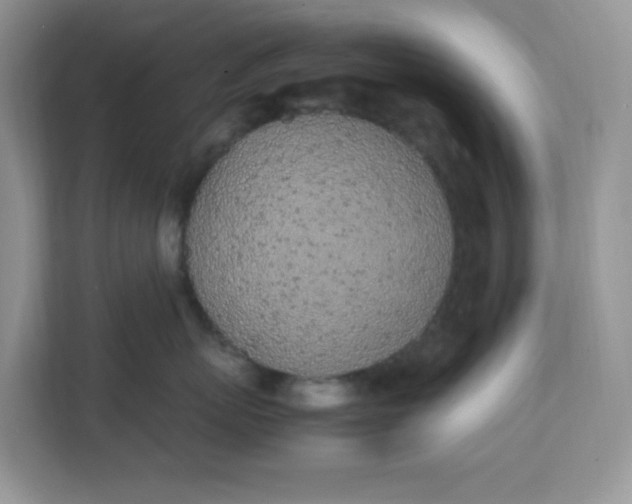 X0000112040767200908171511
