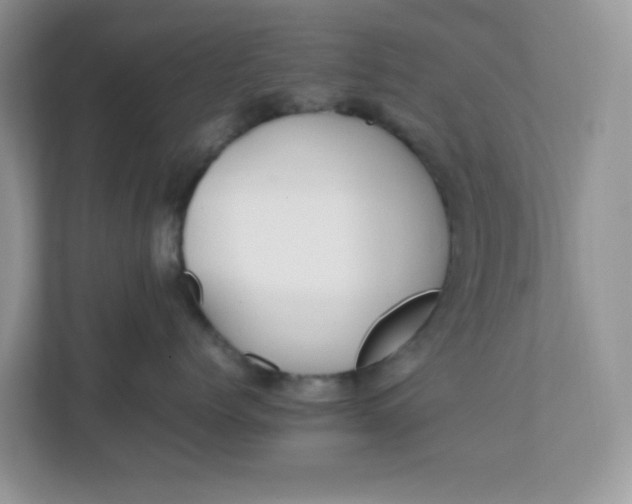 X0000112040768200908171511