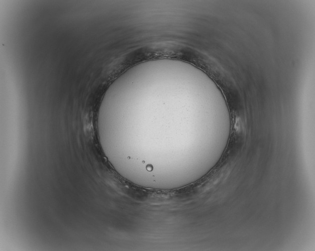 X0000112040771200908171510