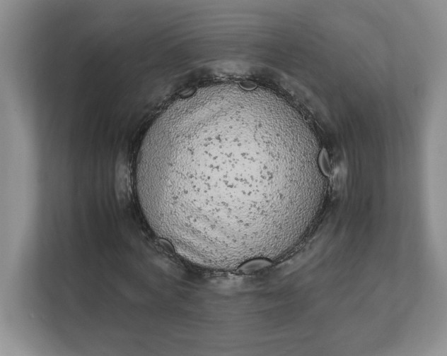 X0000112040772200908171510