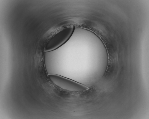 X0000112040773200908171510