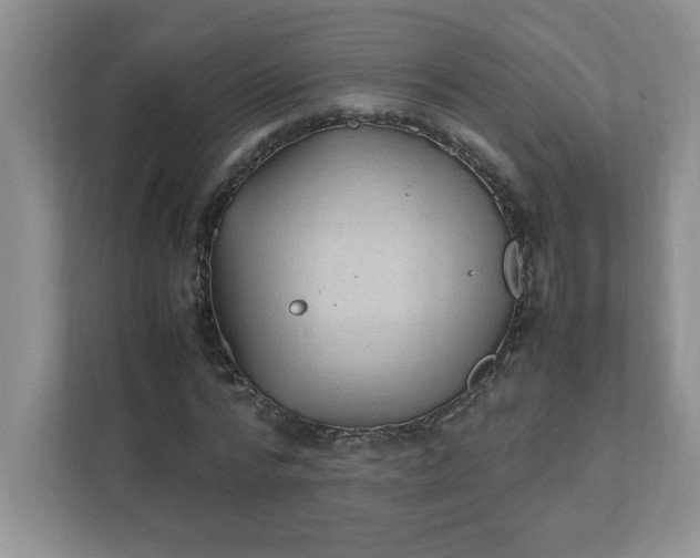 X0000112040776200908171510