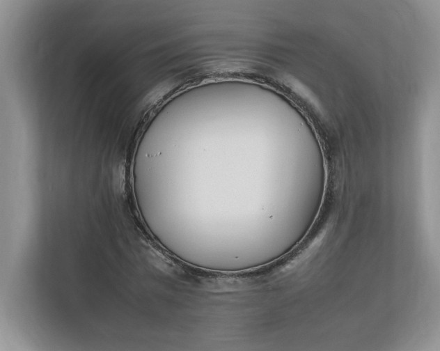 X0000112040777200908171510
