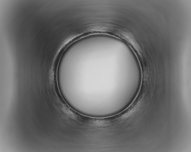 X0000112040779200908171510