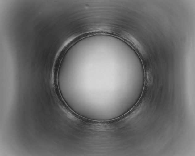 X0000112040780200908171510