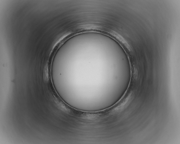 X0000112040782200908171510