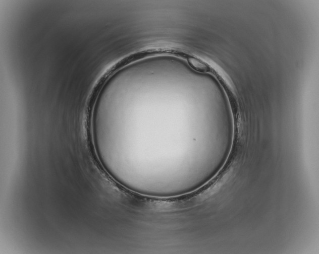 X0000112040783200908171510