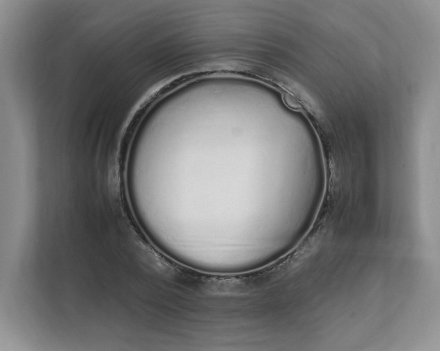 X0000112040784200908171510