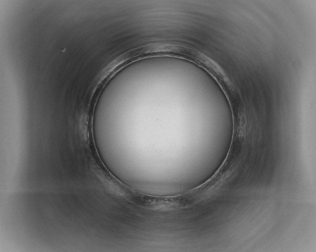 X0000112040786200908171510