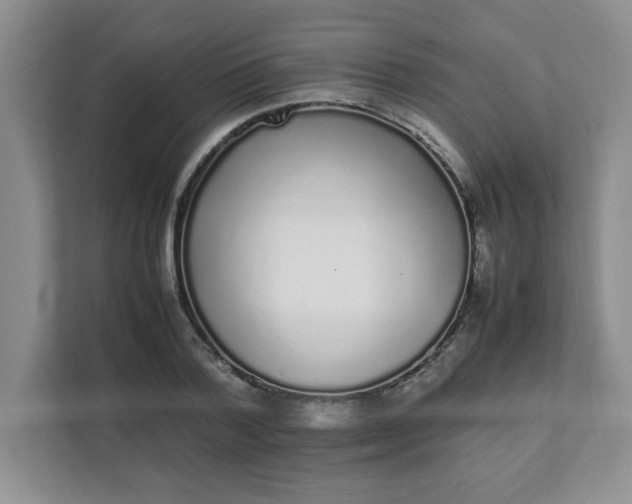X0000112040788200908171510