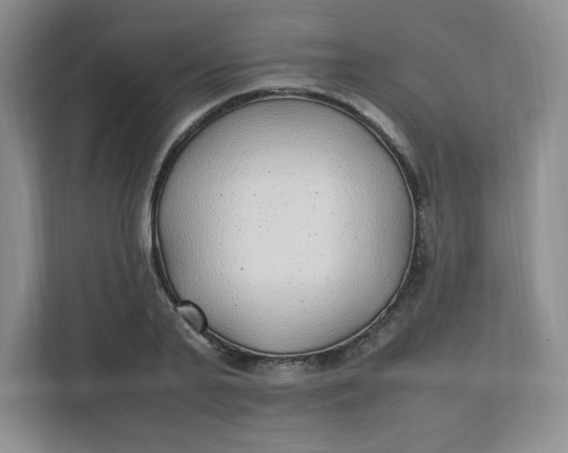 X0000112040791200908171510