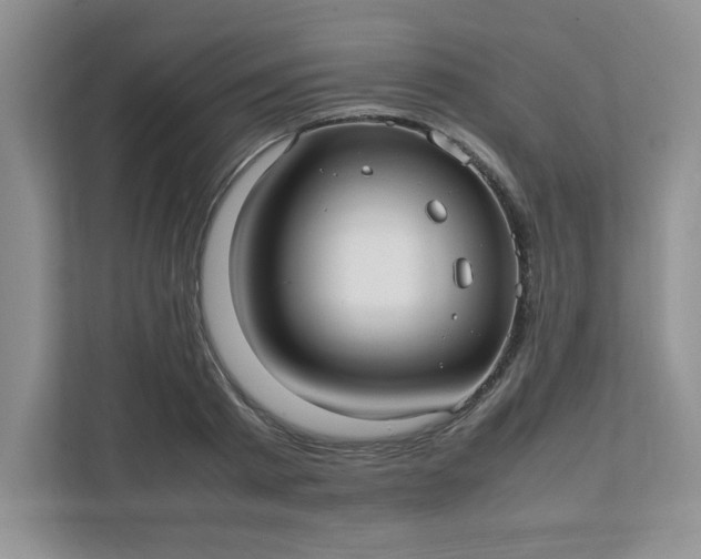 X0000112040793200908171510