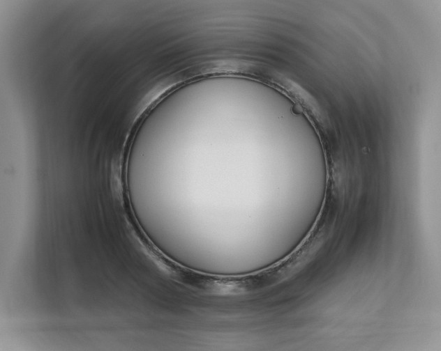 X0000112040794200908171510