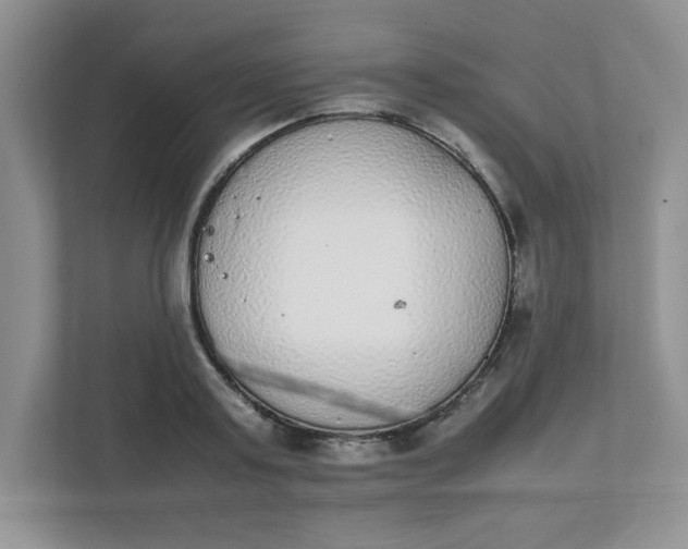 X0000112040795200908171510