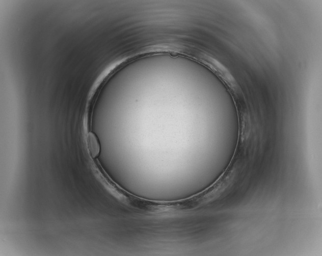 X0000112040796200908171510