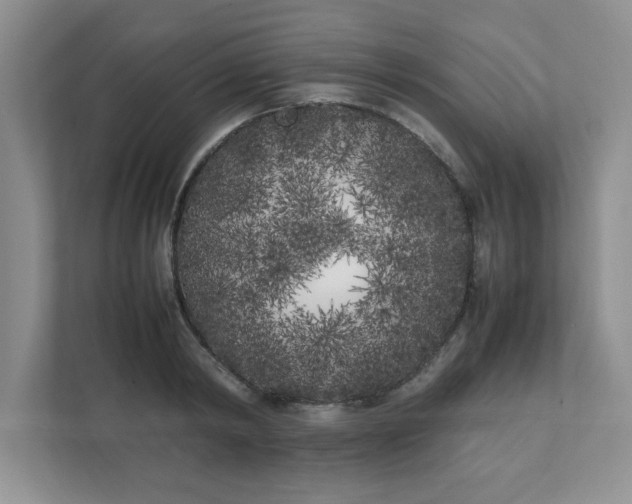 X0000112040798200908171510