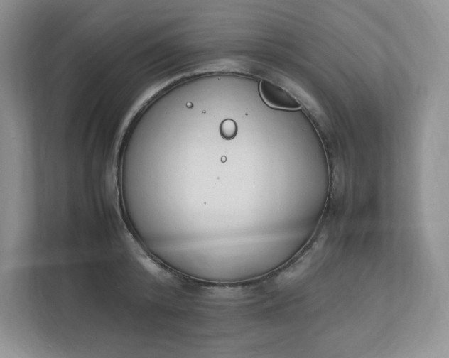 X0000112040800200908171510
