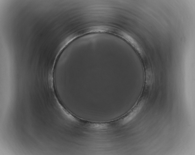 X0000112040802200908171510
