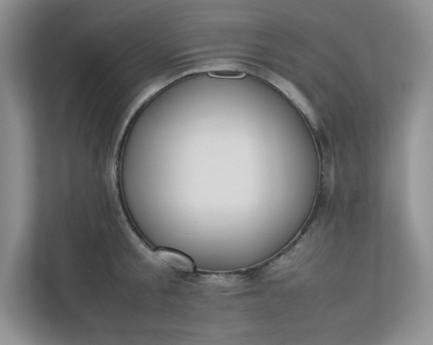 X0000112040805200908171510