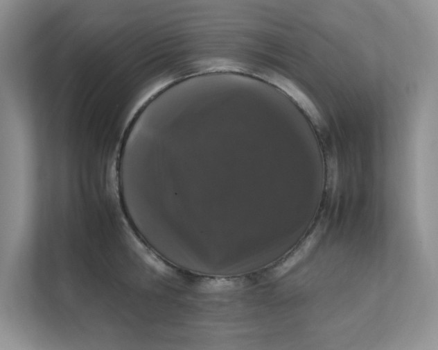 X0000112040806200908171510