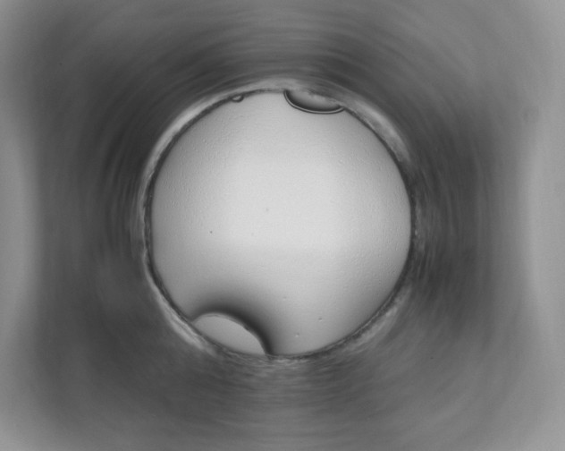 X0000112040808200908171510