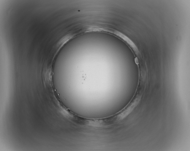 X0000112040809200908171510