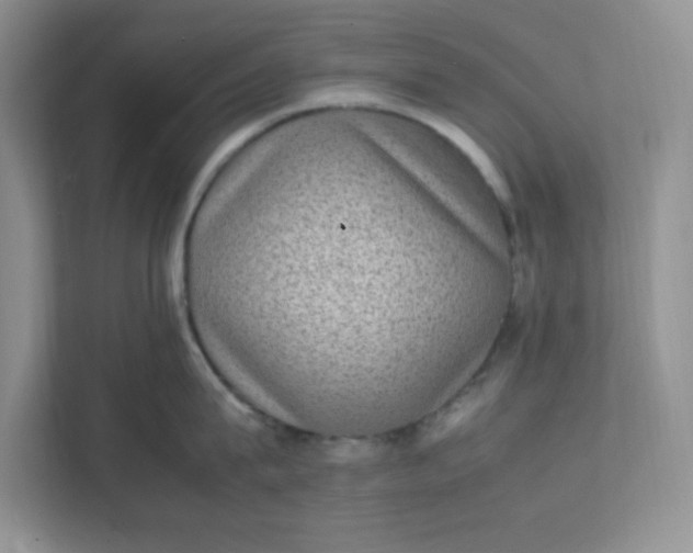 X0000112040815200908171509
