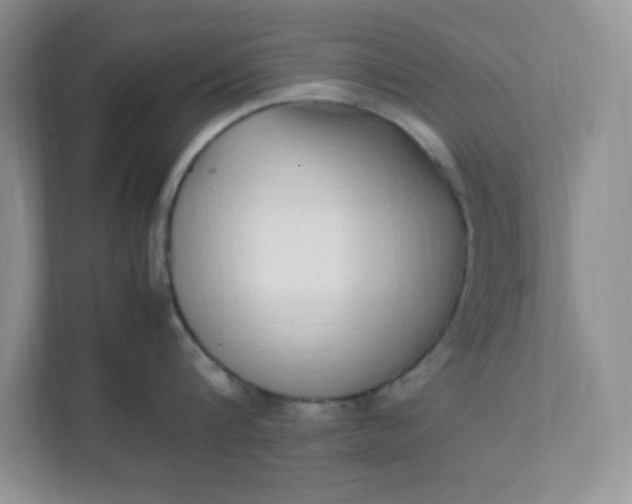 X0000112040816200908171509