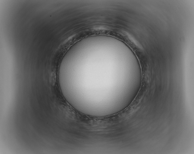 X0000112040821200908171509