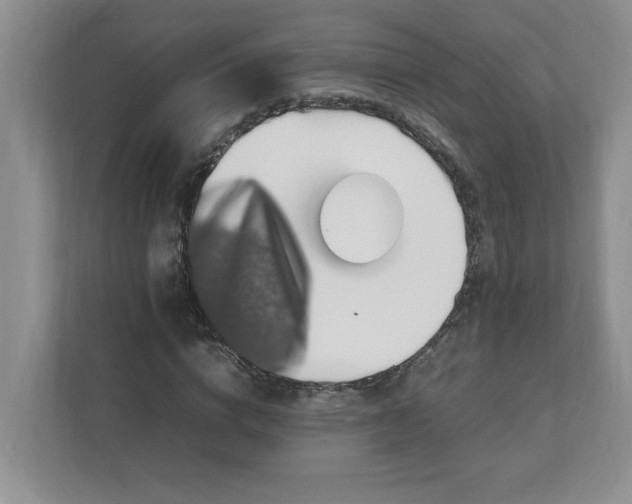 X0000112040824200908171509