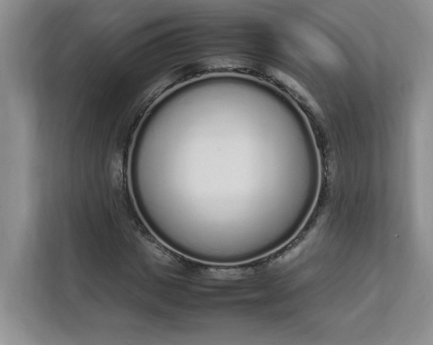 X0000112040825200908171509
