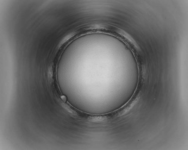 X0000112040826200908171509