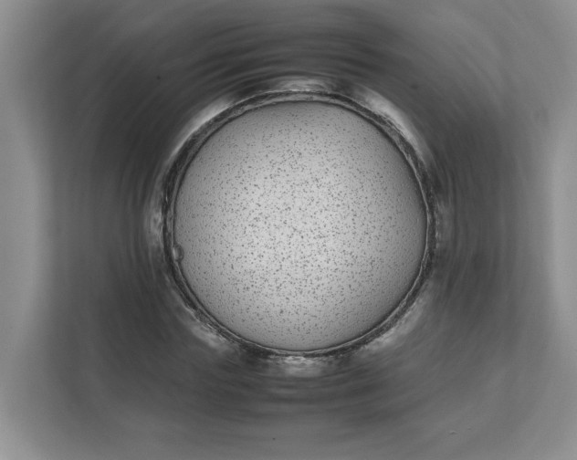 X0000112040827200908171509
