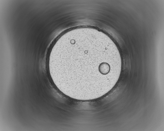 X0000112040828200908171509