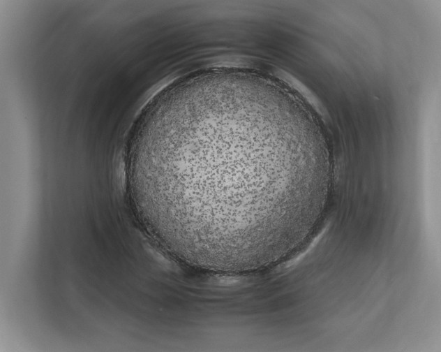 X0000112040829200908171509
